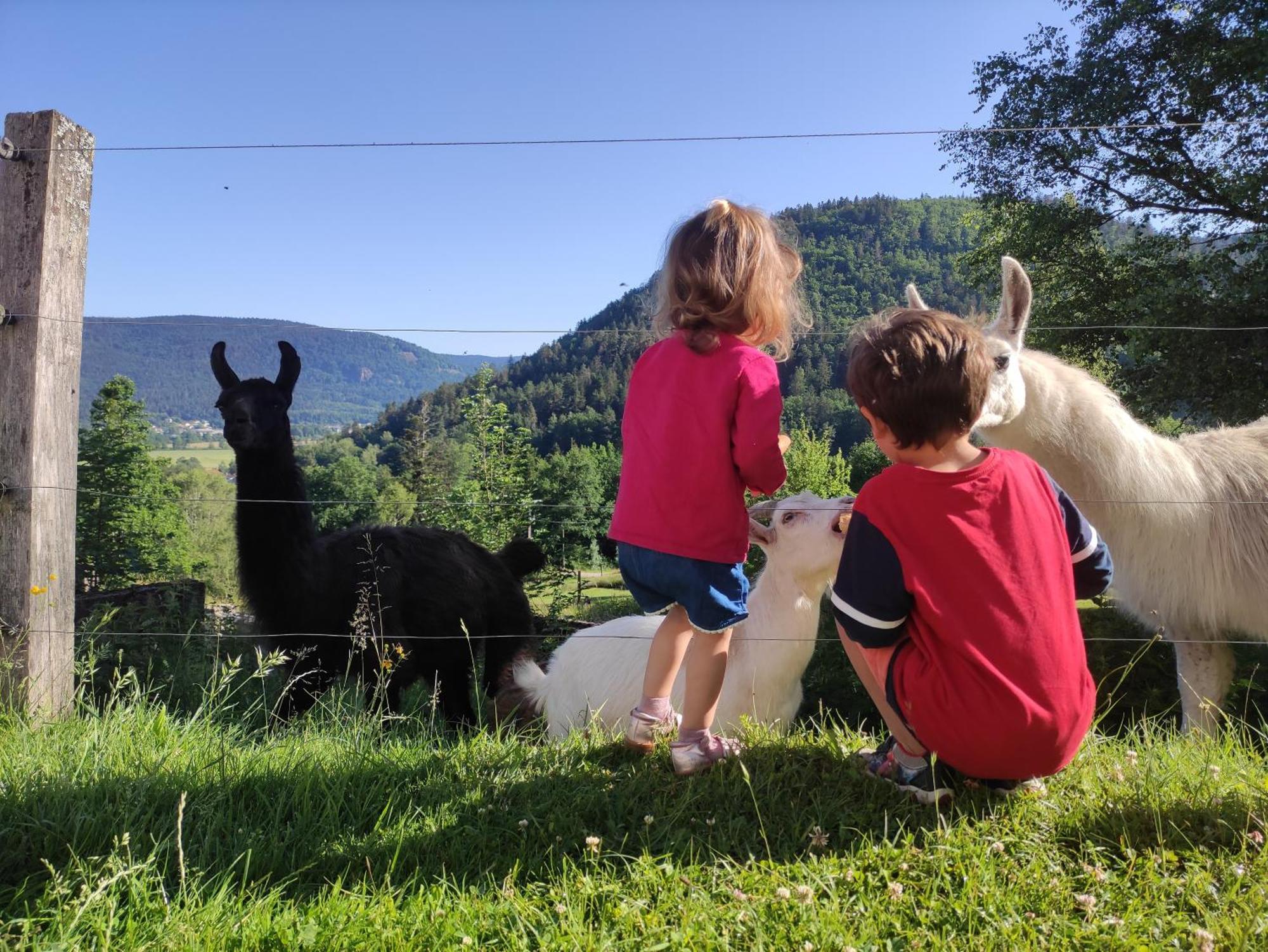 A L'Oree Du Bois Dommartin-lès-Remiremont Oda fotoğraf