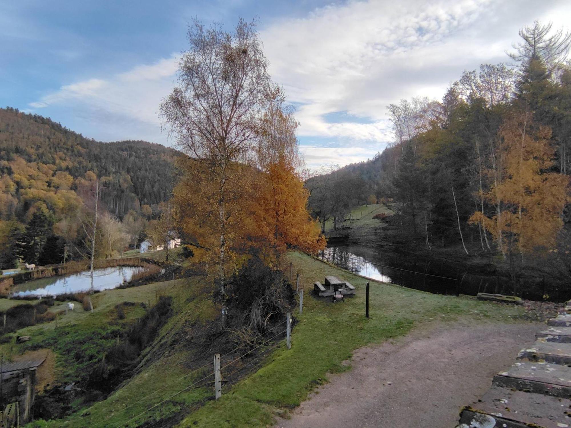 A L'Oree Du Bois Dommartin-lès-Remiremont Oda fotoğraf