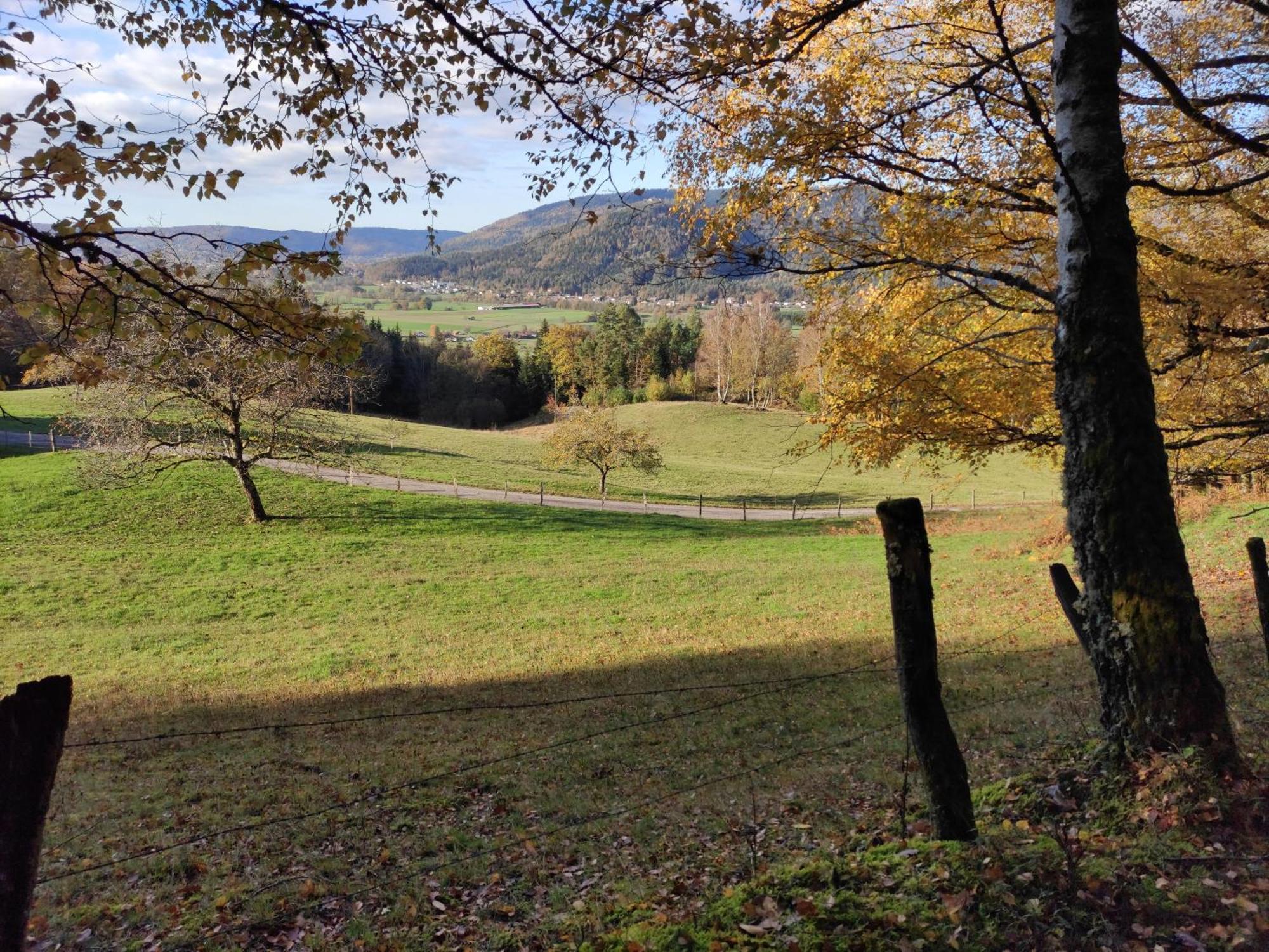 A L'Oree Du Bois Dommartin-lès-Remiremont Oda fotoğraf
